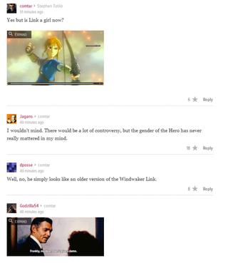 Illustration for article titled Some People Think Link Might Be A Girl In The New Zelda
